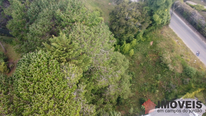 Terreno/Lote em Alto do Capivari, Campos do Jordão - foto 2