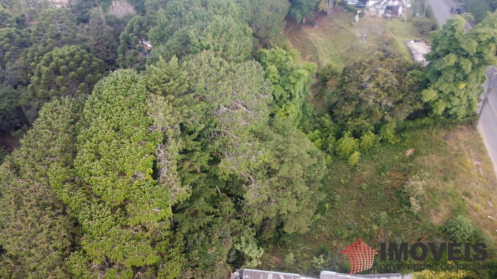Terreno/Lote em Alto do Capivari, Campos do Jordão - foto 3
