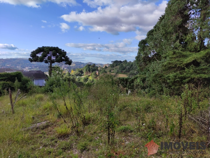 Terreno/Lote em Alto do Capivari, Campos do Jordão - foto 10