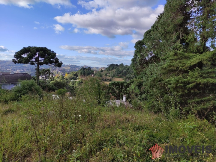 Terreno/Lote em Alto do Capivari, Campos do Jordão - foto 11