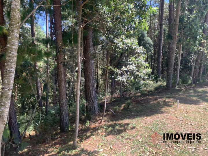 Terreno/Lote em Descansópolis, Campos do Jordão - foto 1