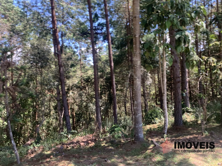 Terreno/Lote em Descansópolis, Campos do Jordão - foto 2