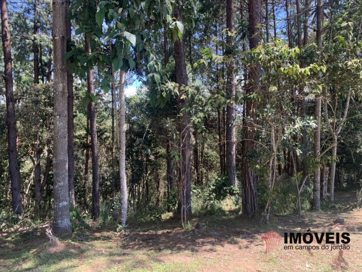 Terreno/Lote em Descansópolis, Campos do Jordão - foto 3
