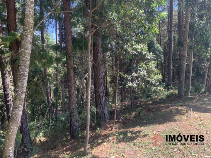 Terreno/Lote em Descansópolis, Campos do Jordão - foto 4