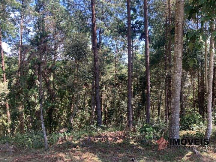 Terreno/Lote em Descansópolis, Campos do Jordão - foto 5