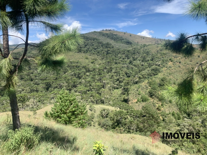 Terreno/Lote em Descansópolis, Campos do Jordão - foto 2