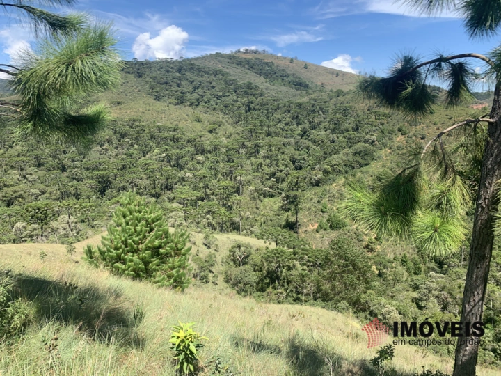 Terreno/Lote em Descansópolis, Campos do Jordão - foto 3