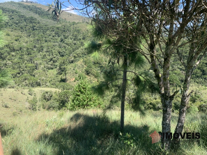 Terreno/Lote em Descansópolis, Campos do Jordão - foto 4