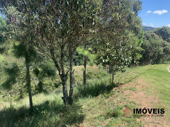 Terreno/Lote em Descansópolis, Campos do Jordão - foto 5