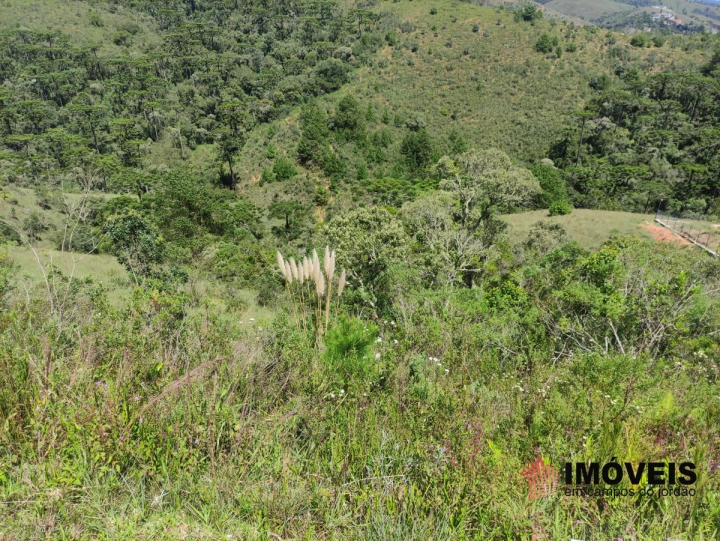 Terreno/Lote em Descansópolis, Campos do Jordão - foto 1