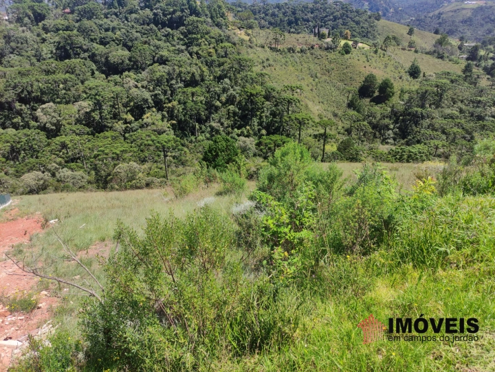 Terreno/Lote em Descansópolis, Campos do Jordão - foto 1