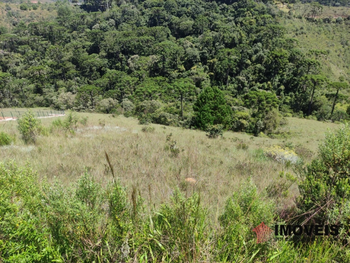 Terreno/Lote em Descansópolis, Campos do Jordão - foto 2