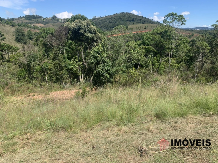 Terreno/Lote em Descansópolis, Campos do Jordão - foto 2