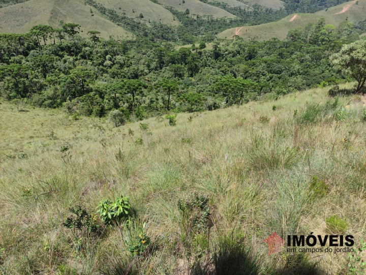 Terreno/Lote em Descansópolis, Campos do Jordão - foto 1