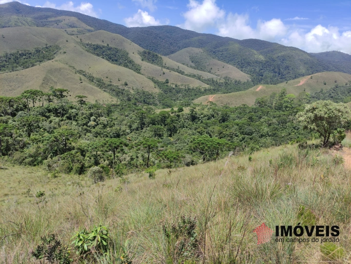 Terreno/Lote em Descansópolis, Campos do Jordão - foto 2