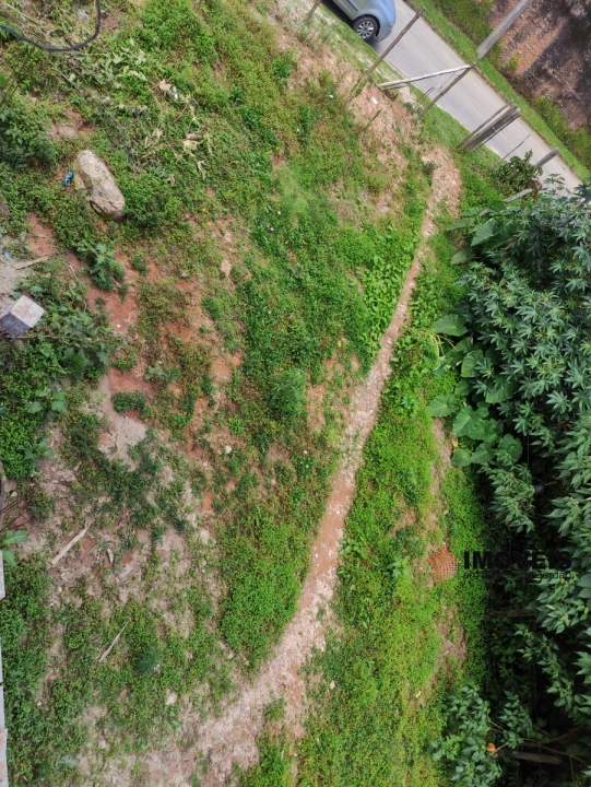 Terreno/Lote em Vila Backer, Campos do Jordão - foto 6
