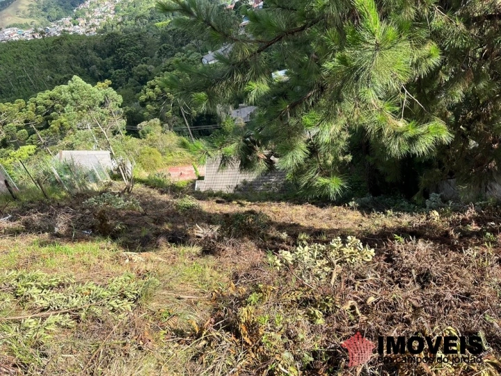 Terreno/Lote em Jardim Sumaré, Campos do Jordão - foto 3