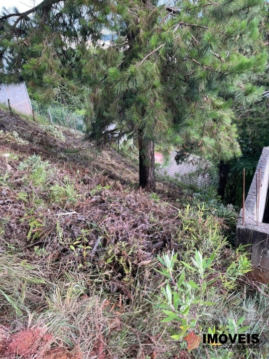 Terreno/Lote em Jardim Sumaré, Campos do Jordão - foto 9