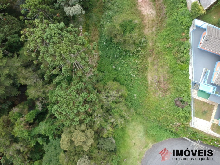 Terreno/Lote em Descansópolis, Campos do Jordão - foto 2