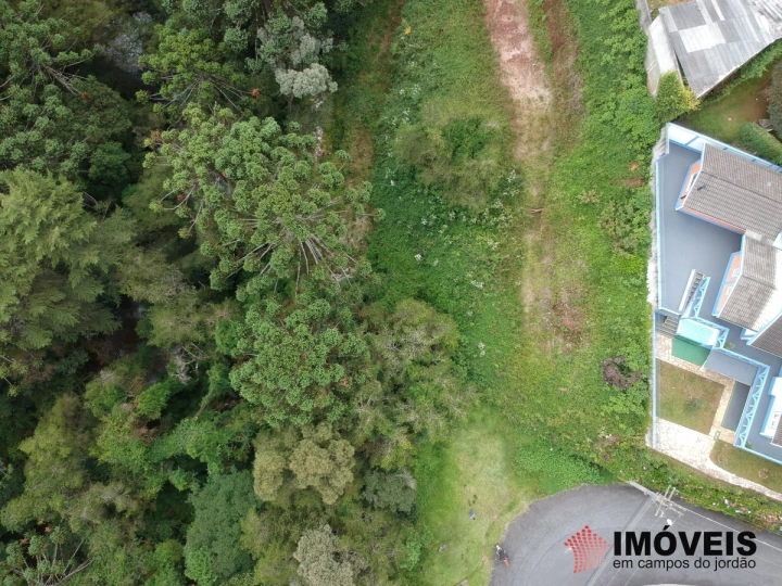 Terreno/Lote em Descansópolis, Campos do Jordão - foto 9