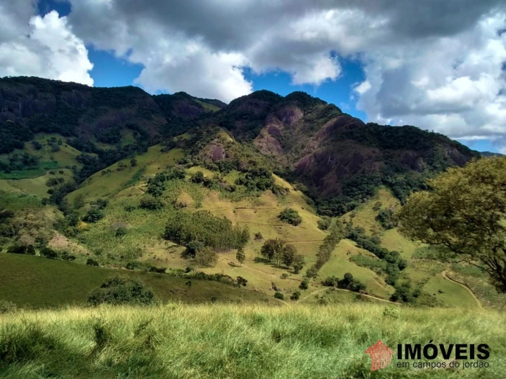 Terreno/Lote em Zona Rural, Piranguçu - foto 5