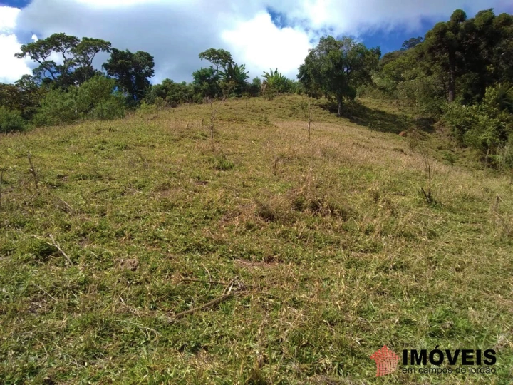 Terreno/Lote em Zona Rural, Piranguçu - foto 8