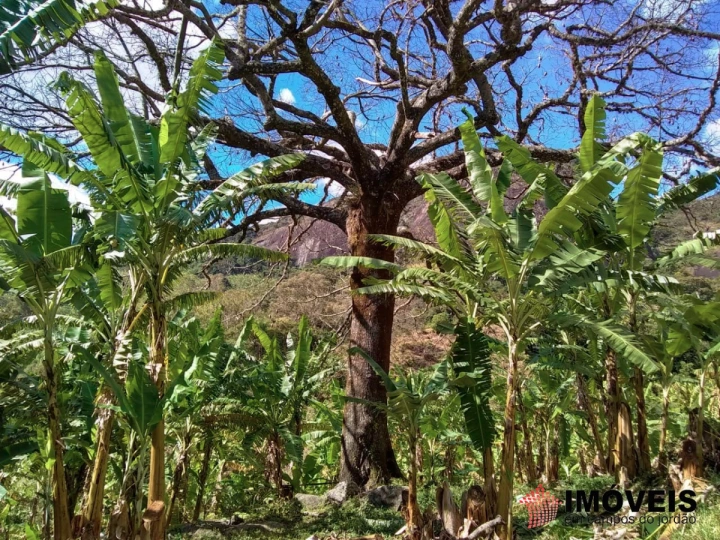 Terreno/Lote em Zona Rural, Piranguçu - foto 9