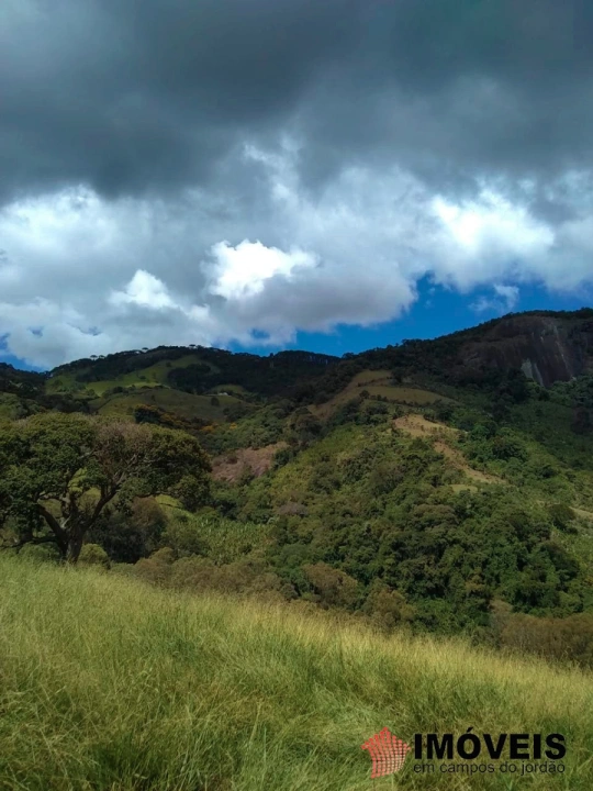 Terreno/Lote em Zona Rural, Piranguçu - foto 13
