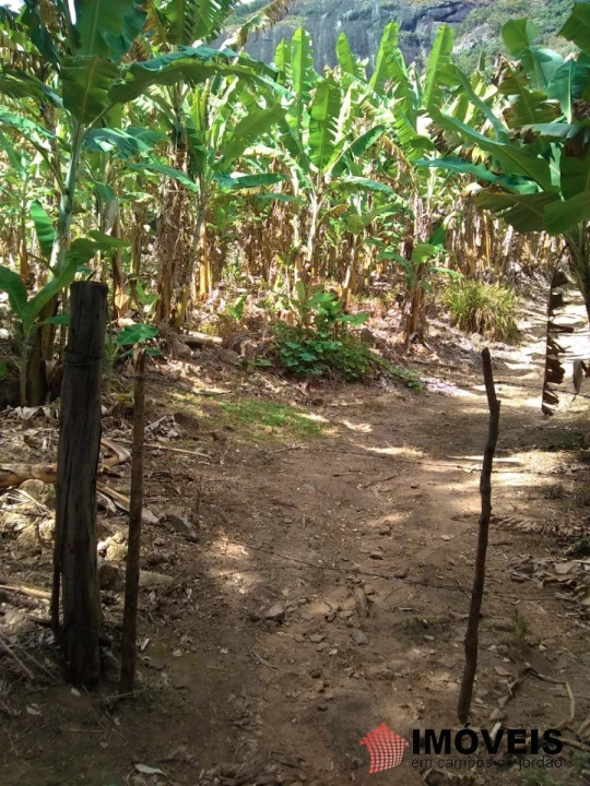 Terreno/Lote em Zona Rural, Piranguçu - foto 14