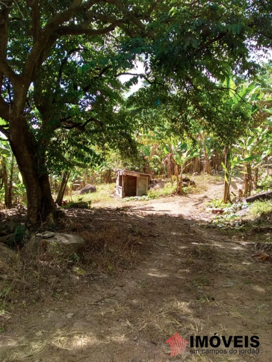 Terreno/Lote em Zona Rural, Piranguçu - foto 15
