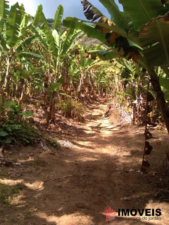 Terreno/Lote em Zona Rural, Piranguçu - foto 17