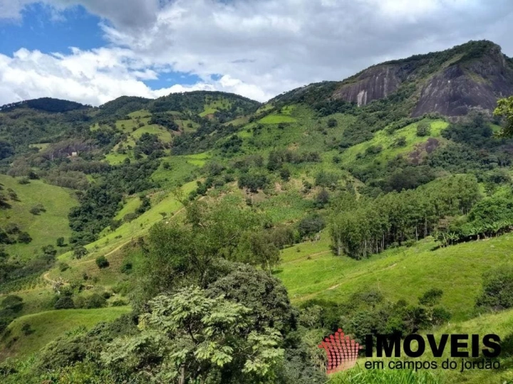 Terreno/Lote em Zona Rural, Piranguçu - foto 18