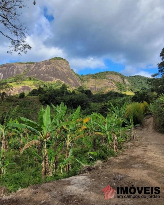 Terreno/Lote em Zona Rural, Piranguçu - foto 19