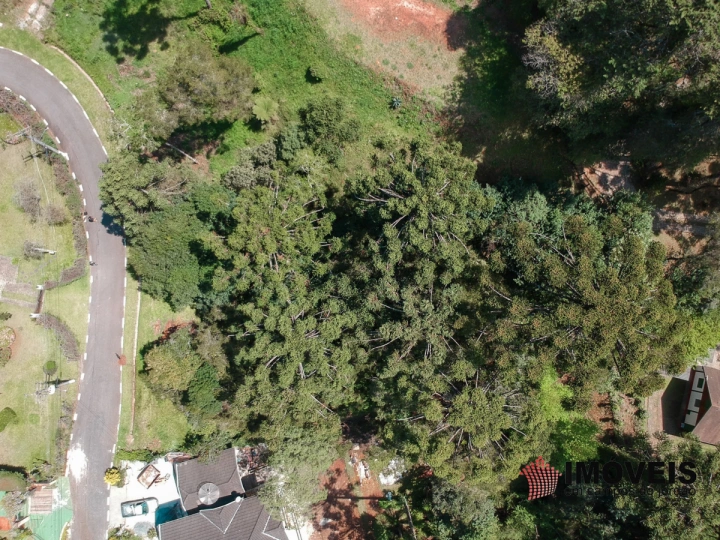 Terreno/Lote em Jardim Véu da Noiva, Campos do Jordão - foto 7