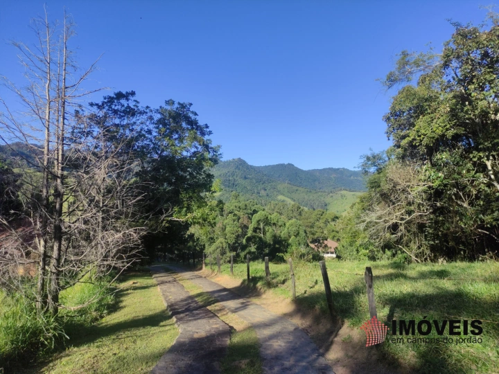 Fazenda em Monte Carlo, Campos do Jordão - foto 5