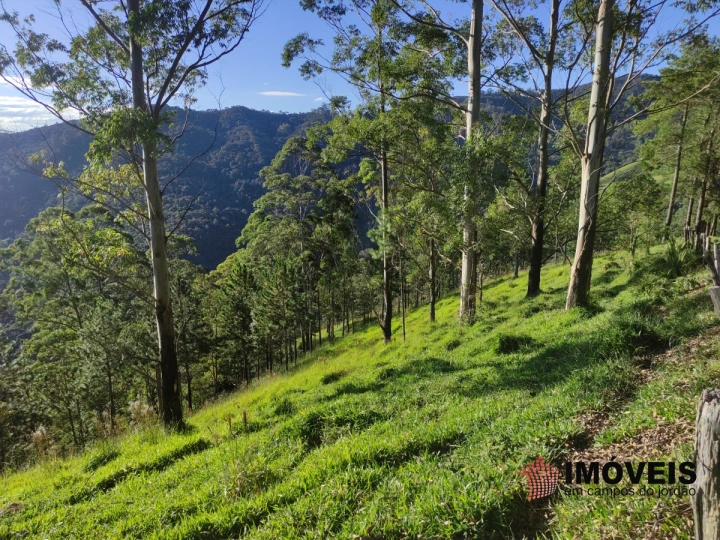 Fazenda em Monte Carlo, Campos do Jordão - foto 14