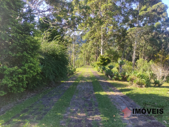 Fazenda em Monte Carlo, Campos do Jordão - foto 74