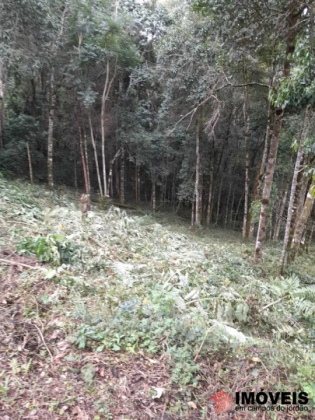 Terreno/Lote em Recanto Floresta Negra, Campos do Jordão