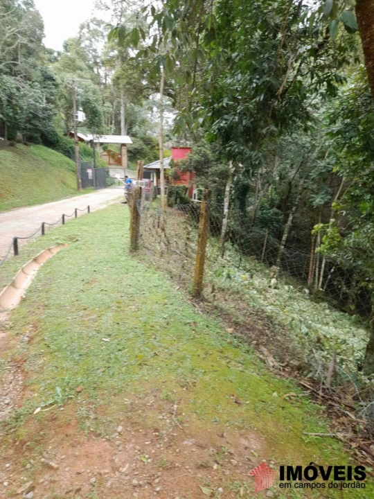 Terreno/Lote em Recanto Floresta Negra, Campos do Jordão - foto 2