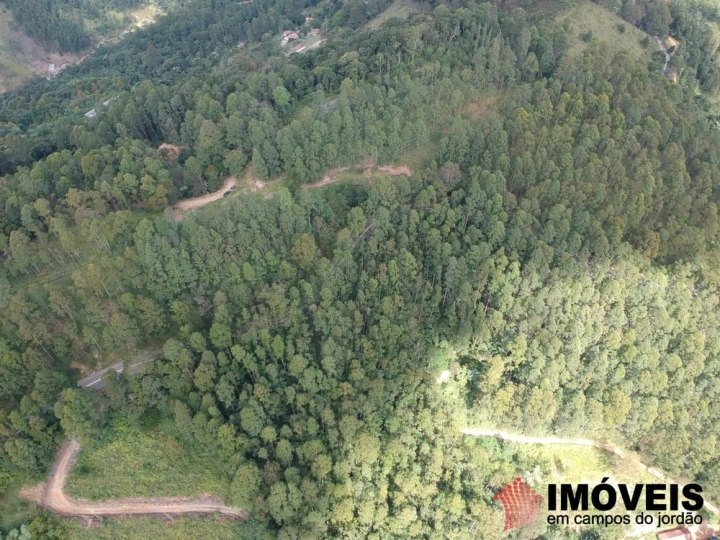 Área para Incorporação em Bairro dos Melos, Campos do Jordão - foto 13