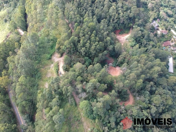 Área para Incorporação em Bairro dos Melos, Campos do Jordão - foto 14