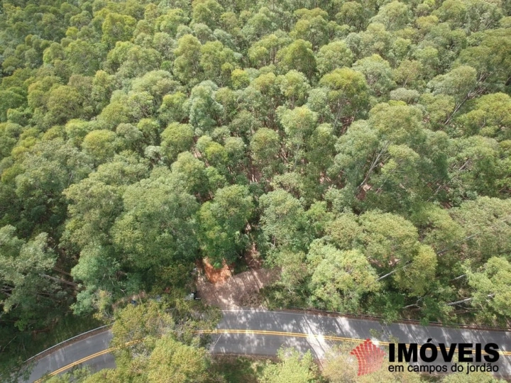 Área para Incorporação em Bairro dos Melos, Campos do Jordão - foto 15