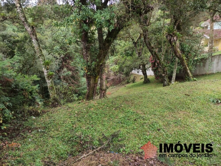 Terreno/Lote em Jardim Sumaré, Campos do Jordão - foto 3