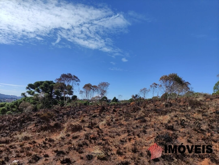 Área para Incorporação em Atalaia, Campos do Jordão - foto 6
