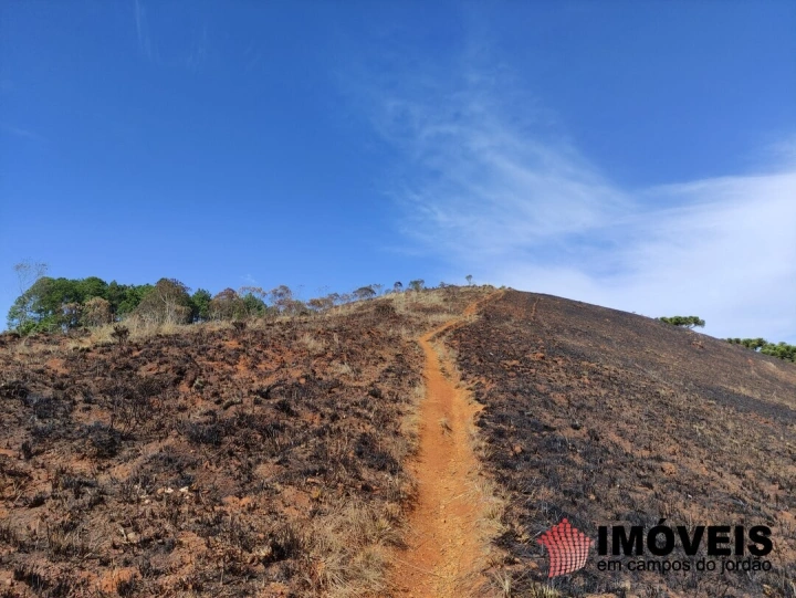 Área para Incorporação em Atalaia, Campos do Jordão - foto 10
