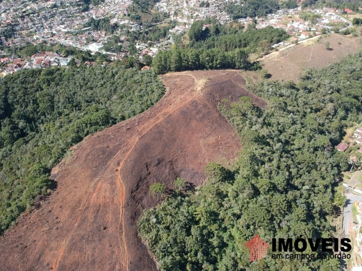 Área para Incorporação em Atalaia, Campos do Jordão - foto 19