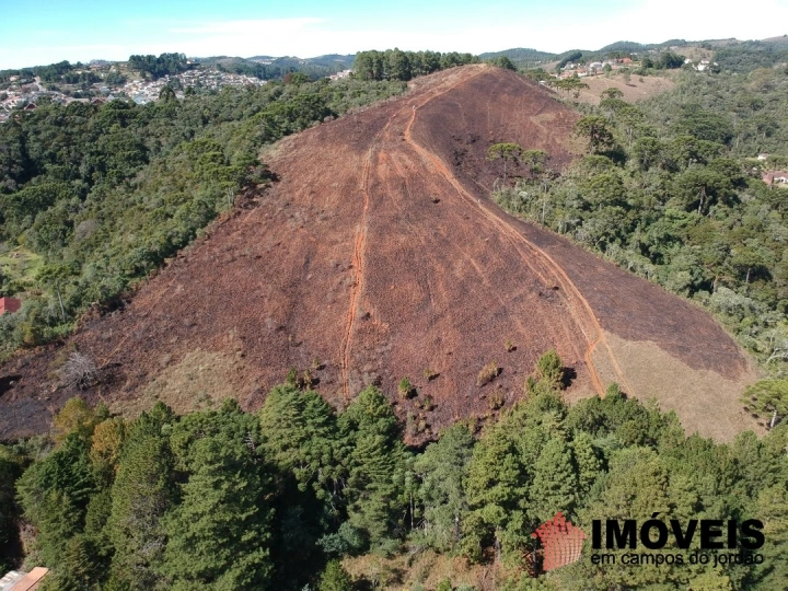 Área para Incorporação em Atalaia, Campos do Jordão - foto 28
