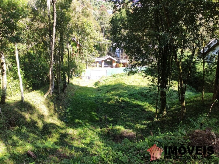 Terreno/Lote em Alto do Capivari, Campos do Jordão - foto 7