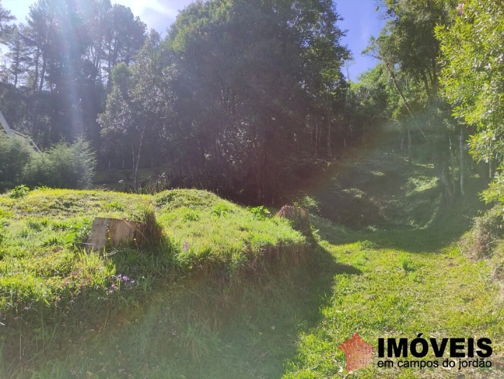 Terreno/Lote em Alto do Capivari, Campos do Jordão - foto 11