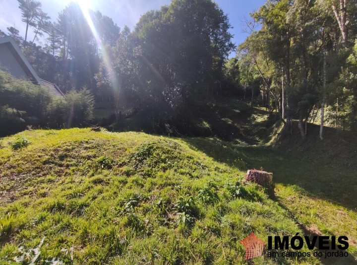 Terreno/Lote em Alto do Capivari, Campos do Jordão - foto 13